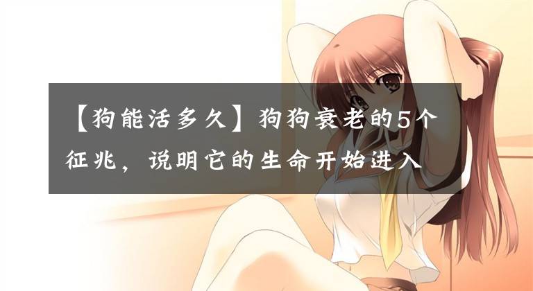 【狗能活多久】狗狗衰老的5个征兆，说明它的生命开始进入“倒计时”！