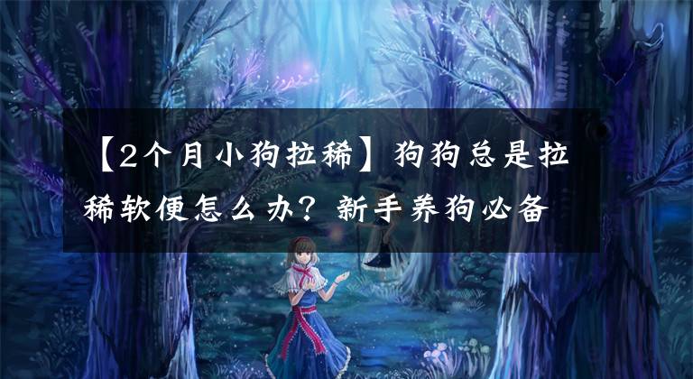 【2个月小狗拉稀】狗狗总是拉稀软便怎么办？新手养狗必备知识点