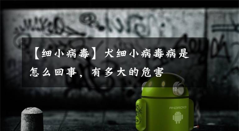 【细小病毒】犬细小病毒病是怎么回事，有多大的危害