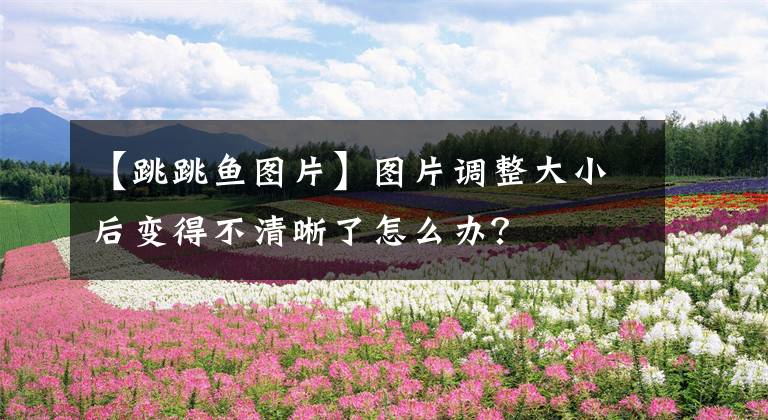 【跳跳鱼图片】图片调整大小后变得不清晰了怎么办？