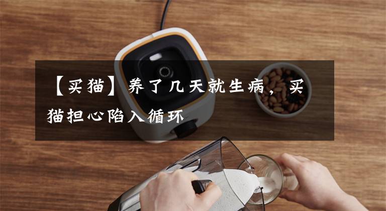 【买猫】养了几天就生病，买猫担心陷入循环