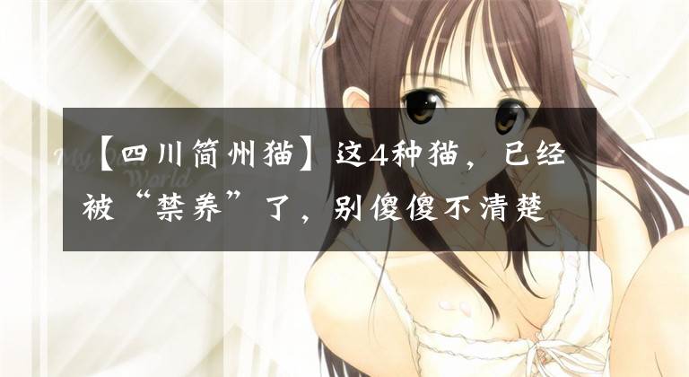 【四川简州猫】这4种猫，已经被“禁养”了，别傻傻不清楚