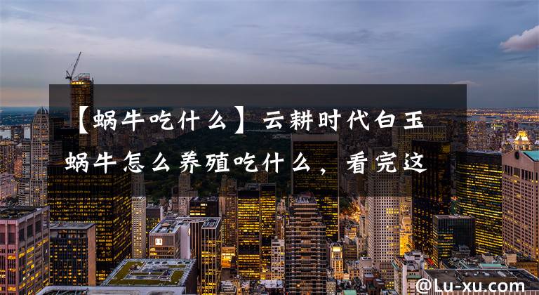 【蜗牛吃什么】云耕时代白玉蜗牛怎么养殖吃什么，看完这些你就明白了