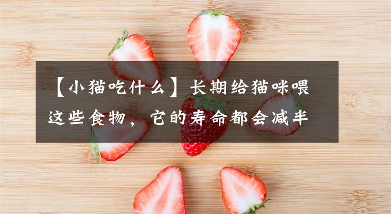 【小猫吃什么】长期给猫咪喂这些食物，它的寿命都会减半