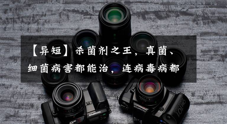 【异短】杀菌剂之王，真菌、细菌病害都能治，连病毒病都有效，农民要知道