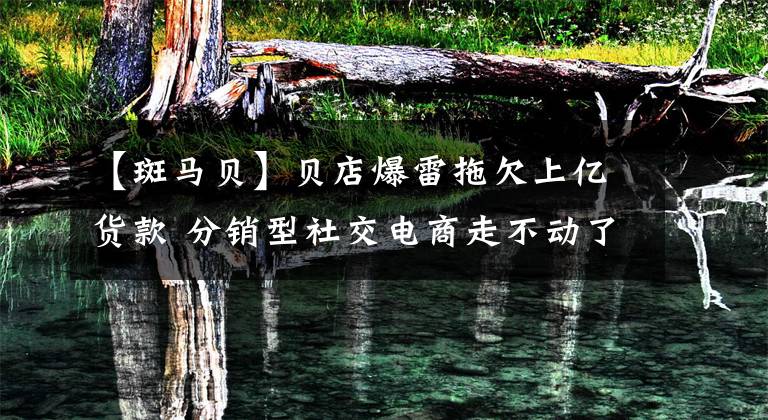 【斑马贝】贝店爆雷拖欠上亿货款 分销型社交电商走不动了？