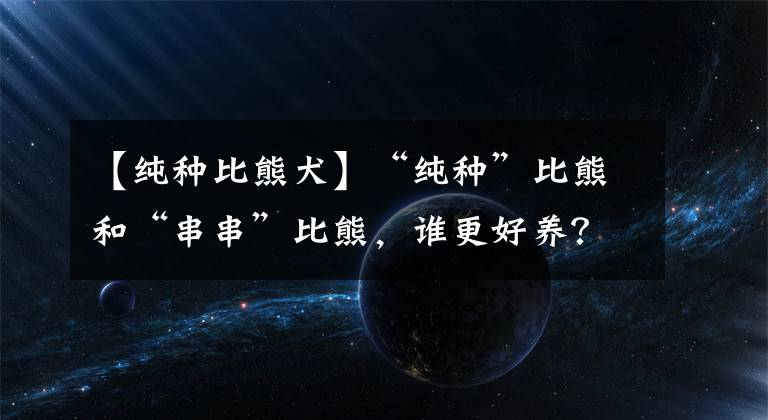 【纯种比熊犬】“纯种”比熊和“串串”比熊，谁更好养？