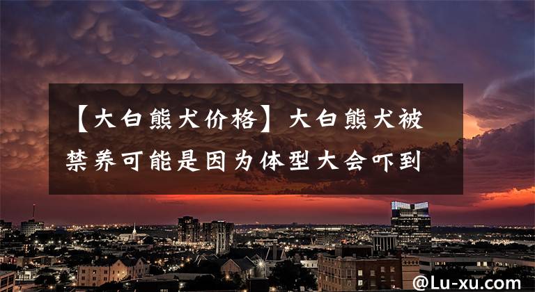 【大白熊犬价格】大白熊犬被禁养可能是因为体型大会吓到人，其实它骨子里很温顺！