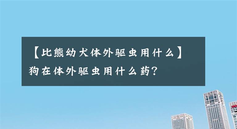 【比熊幼犬体外驱虫用什么】狗在体外驱虫用什么药？