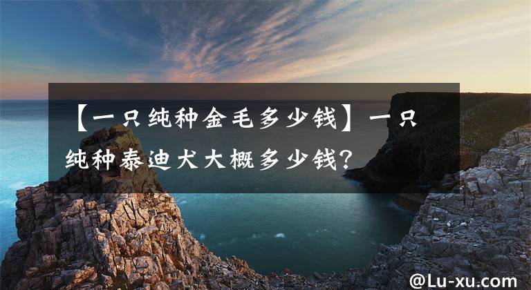 【一只纯种金毛多少钱】一只纯种泰迪犬大概多少钱？