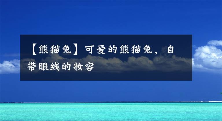 【熊猫兔】可爱的熊猫兔，自带眼线的妆容