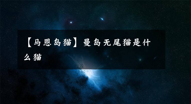 【马恩岛猫】曼岛无尾猫是什么猫
