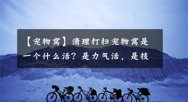 【宠物窝】清理打扫宠物窝是一个什么活？是力气活，是技术活，也是爱心活