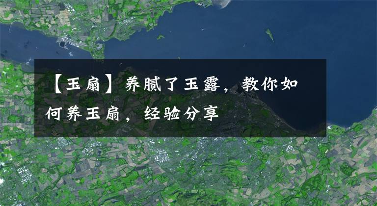 【玉扇】养腻了玉露，教你如何养玉扇，经验分享