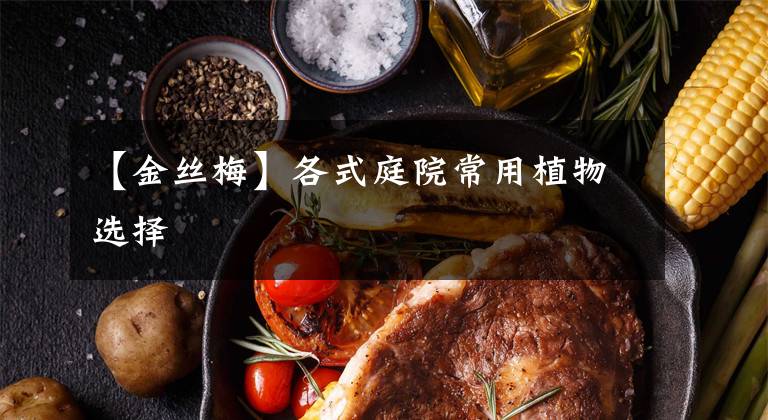 【金丝梅】各式庭院常用植物选择