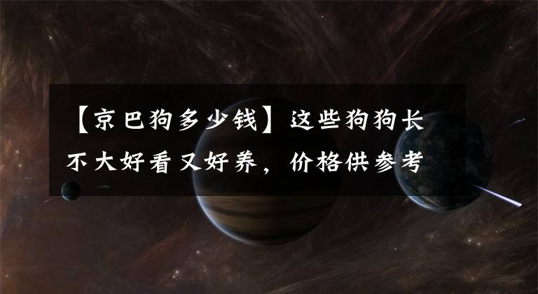 【京巴狗多少钱】这些狗狗长不大好看又好养，价格供参考