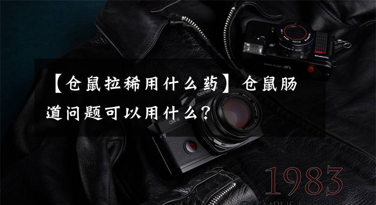 【仓鼠拉稀用什么药】仓鼠肠道问题可以用什么？