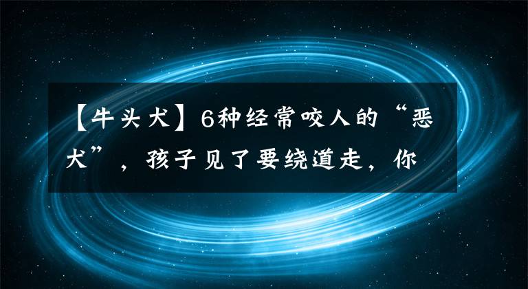 【牛头犬】6种经常咬人的“恶犬”，孩子见了要绕道走，你家小区就有几十只