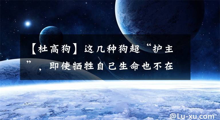 【杜高狗】这几种狗超“护主”，即使牺牲自己生命也不在乎