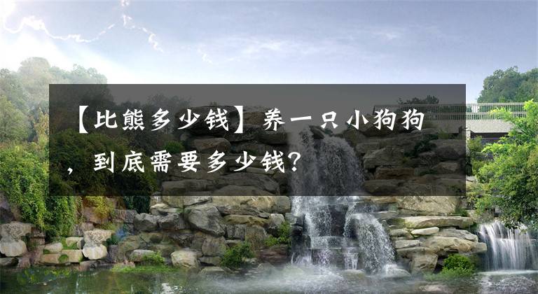 【比熊多少钱】养一只小狗狗，到底需要多少钱？