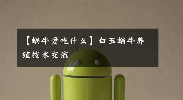 【蜗牛爱吃什么】白玉蜗牛养殖技术交流