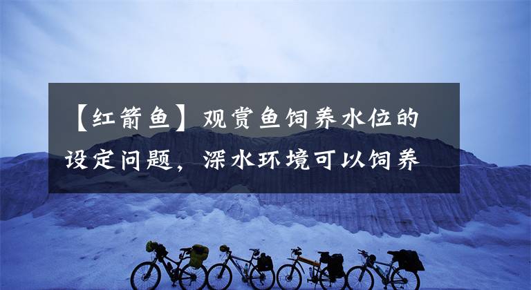 【红箭鱼】观赏鱼饲养水位的设定问题，深水环境可以饲养孔雀鱼、金鱼吗？