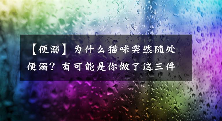 【便溺】为什么猫咪突然随处便溺？有可能是你做了这三件事