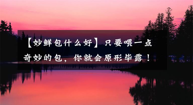 【妙鲜包什么好】只要喂一点奇妙的包，你就会原形毕露！哎呀？你答应抓老鼠的。