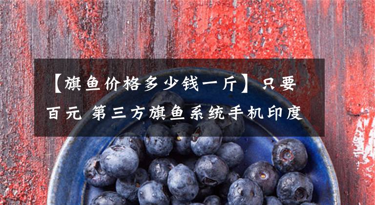 【旗鱼价格多少钱一斤】只要百元 第三方旗鱼系统手机印度开售