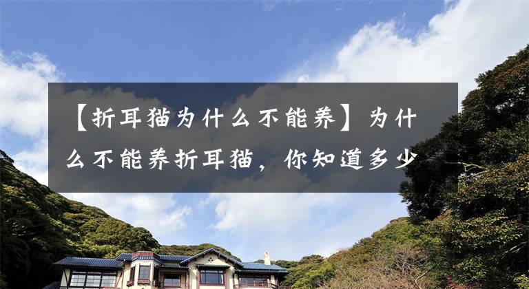 【折耳猫为什么不能养】为什么不能养折耳猫，你知道多少？