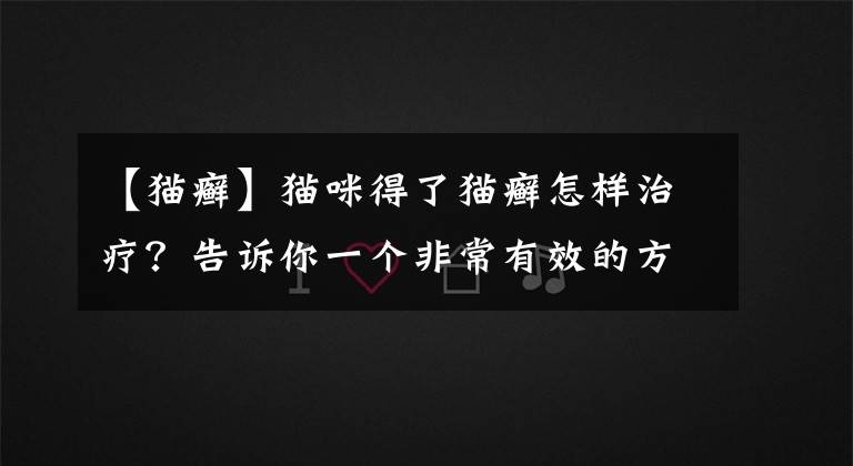 【猫癣】猫咪得了猫癣怎样治疗？告诉你一个非常有效的方法