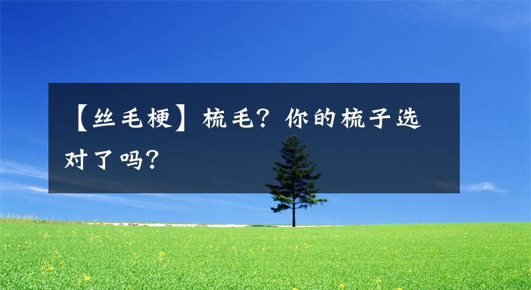 【丝毛梗】梳毛？你的梳子选对了吗？