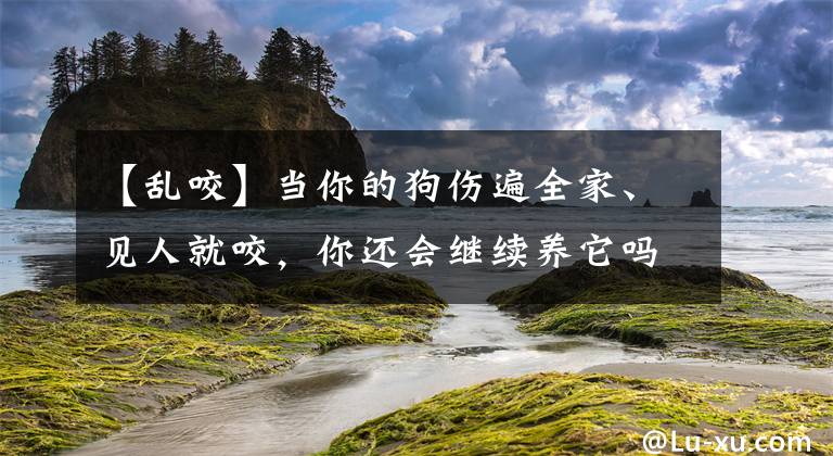 【乱咬】当你的狗伤遍全家、见人就咬，你还会继续养它吗？「文末有礼」