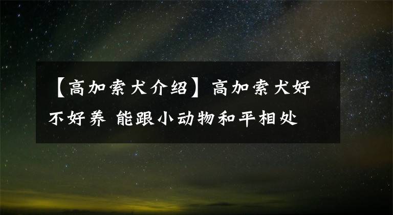 【高加索犬介绍】高加索犬好不好养 能跟小动物和平相处