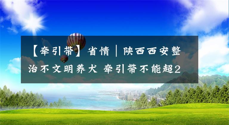 【牵引带】省情｜陕西西安整治不文明养犬 牵引带不能超2米