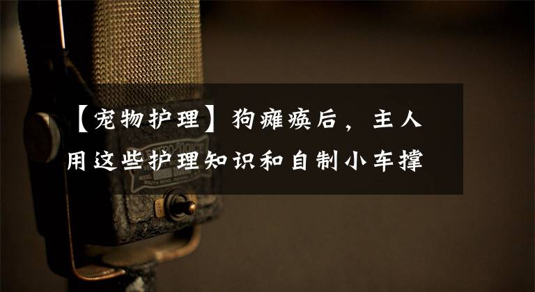 【宠物护理】狗瘫痪后，主人用这些护理知识和自制小车撑起的是它活下去的尊严