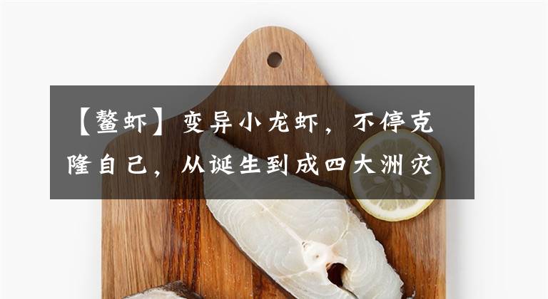 【鳌虾】变异小龙虾，不停克隆自己，从诞生到成四大洲灾难只用了20几年