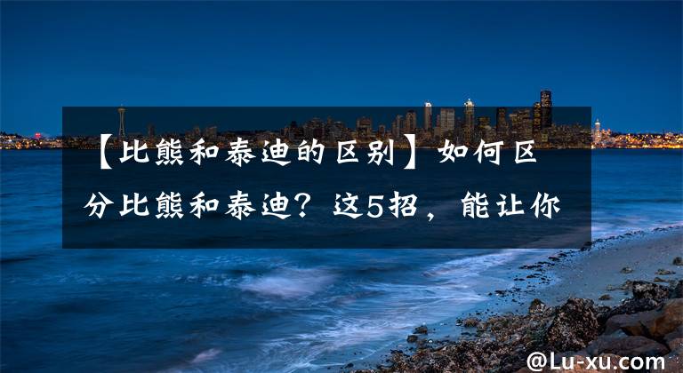 【比熊和泰迪的区别】如何区分比熊和泰迪？这5招，能让你快速分辨出来