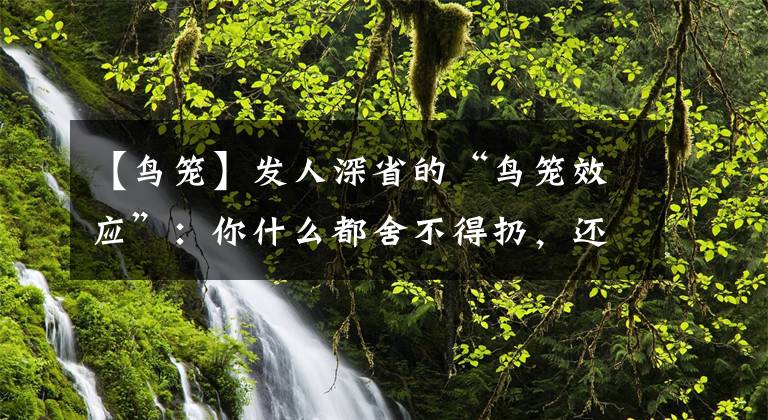 【鸟笼】发人深省的“鸟笼效应”：你什么都舍不得扔，还谈什么生活质量