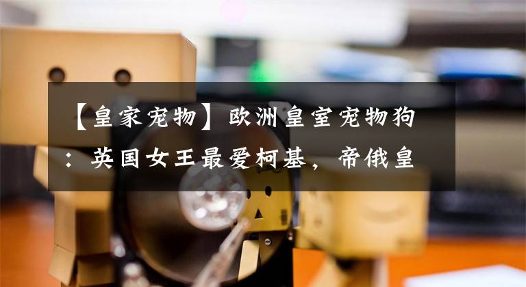 【皇家宠物】欧洲皇室宠物狗：英国女王最爱柯基，帝俄皇室曾经最爱玩具犬
