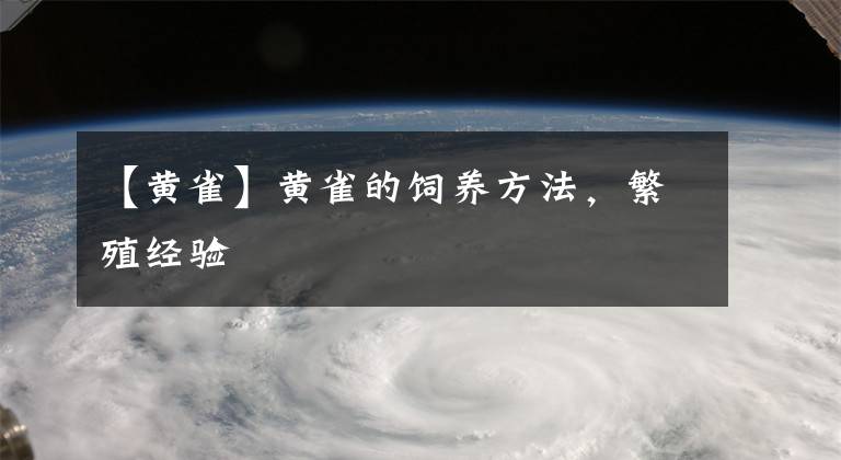 【黄雀】黄雀的饲养方法，繁殖经验