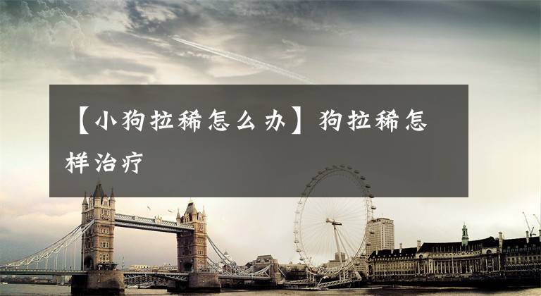 【小狗拉稀怎么办】狗拉稀怎样治疗