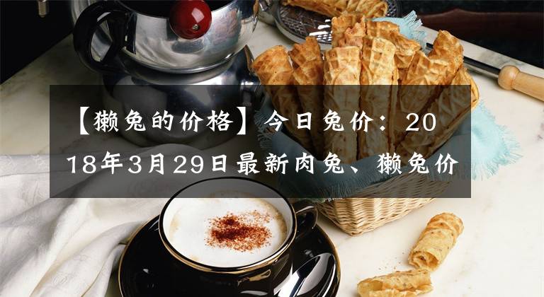 【獭兔的价格】今日兔价：2018年3月29日最新肉兔、獭兔价格行情
