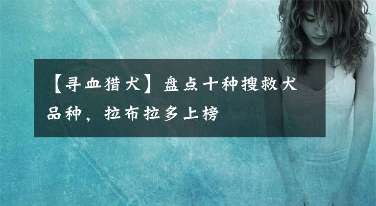 【寻血猎犬】盘点十种搜救犬品种，拉布拉多上榜