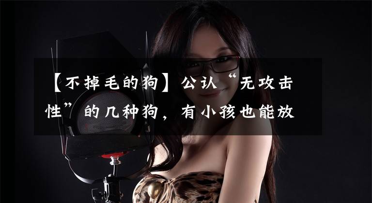 【不掉毛的狗】公认“无攻击性”的几种狗，有小孩也能放心养