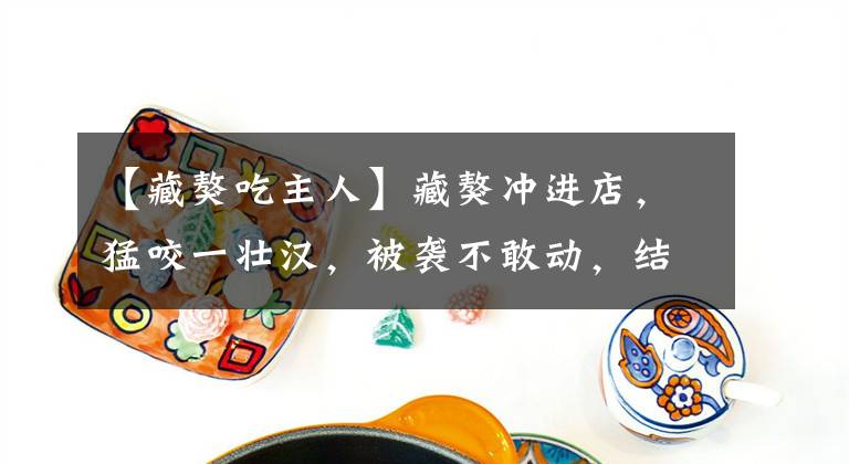 【藏獒吃主人】藏獒冲进店，猛咬一壮汉，被袭不敢动，结果被咬惨！因为做错件事