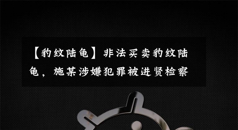 【豹纹陆龟】非法买卖豹纹陆龟，施某涉嫌犯罪被进贤检察批准逮捕