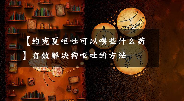 【约克夏呕吐可以喂些什么药】有效解决狗呕吐的方法