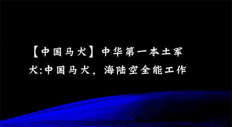 【中国马犬】中华第一本土军犬:中国马犬，海陆空全能工作犬