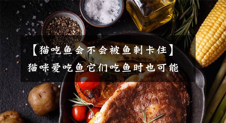 【猫吃鱼会不会被鱼刺卡住】猫咪爱吃鱼它们吃鱼时也可能被鱼刺卡到吗 可能会还是肯定不会